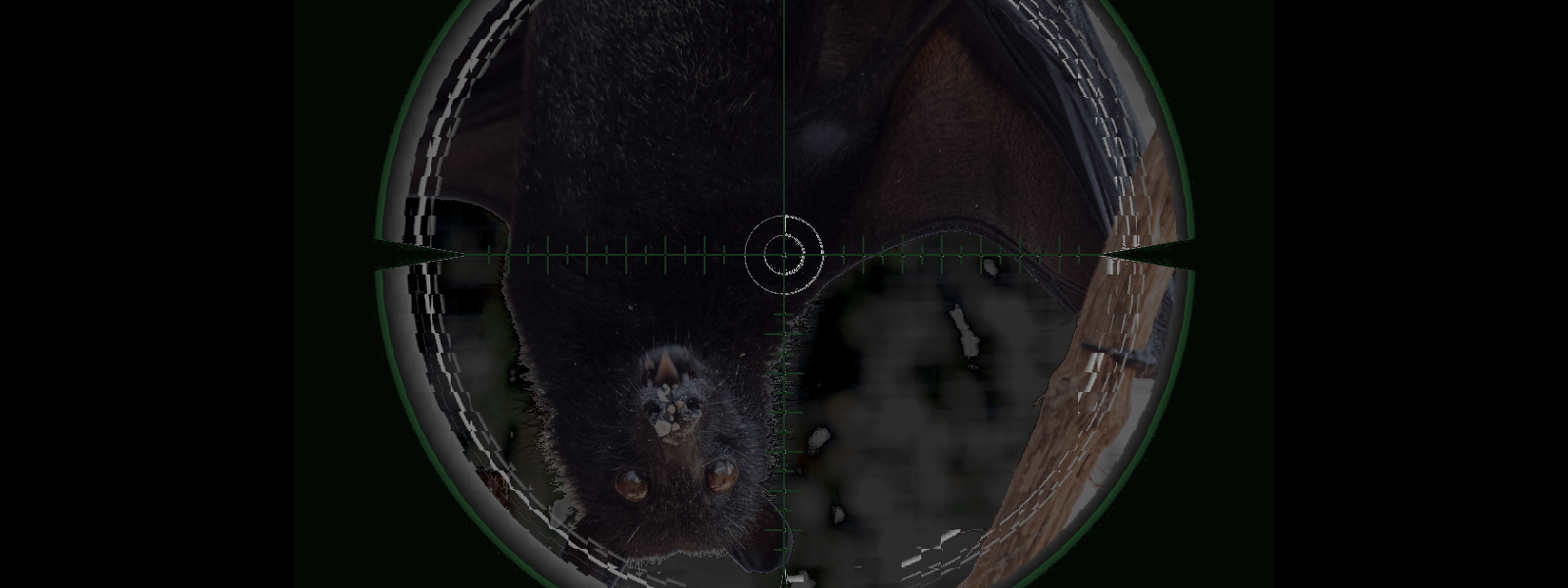 Denizens of Darkness